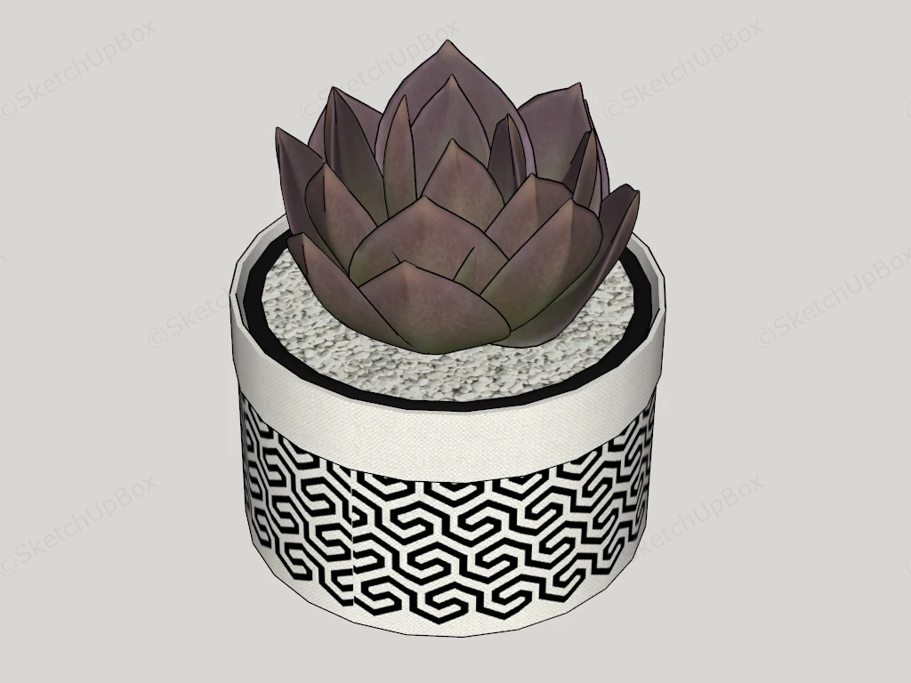 Succulent Potted Plant sketchup model preview - SketchupBox