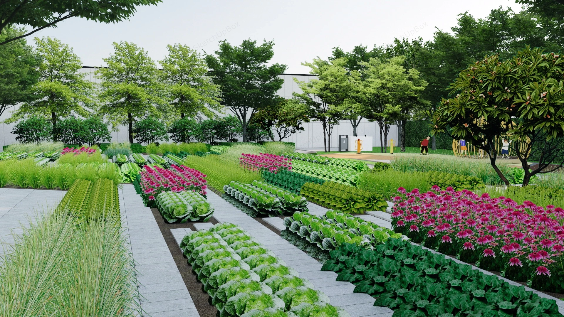 Community Vegetable Garden sketchup model preview - SketchupBox