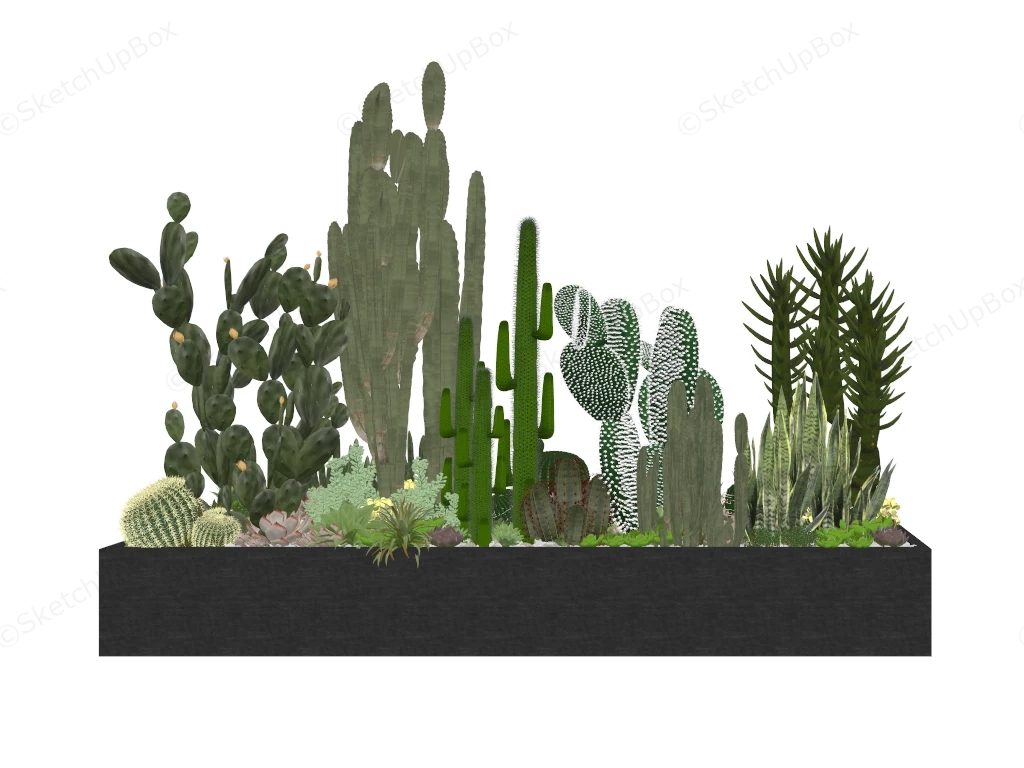 Cactus Raised Garden Idea sketchup model preview - SketchupBox