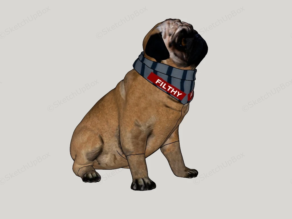 Fawn Pug Puppy sketchup model preview - SketchupBox