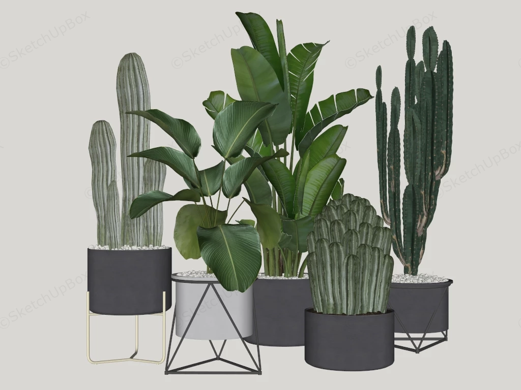 Large Indoor Floor Plants sketchup model preview - SketchupBox