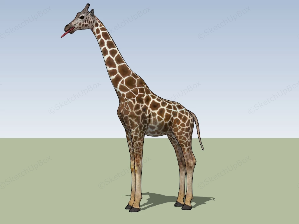 Adult Giraffe sketchup model preview - SketchupBox