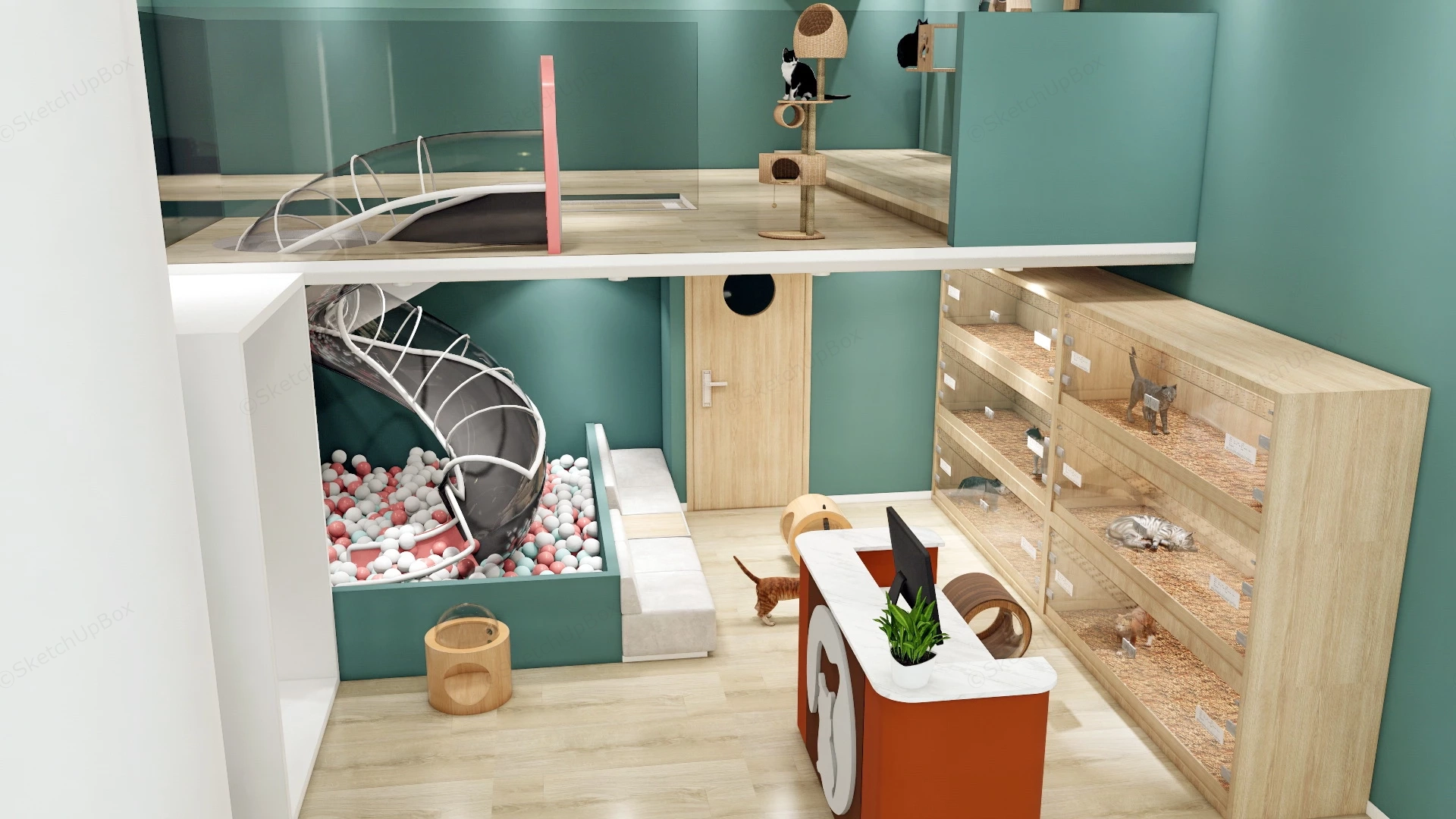 Cat Boarding & Cattery sketchup model preview - SketchupBox