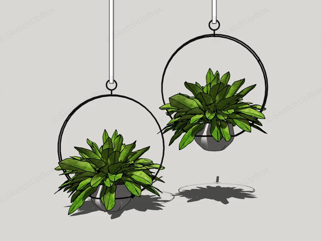 Green Hanging Plants sketchup model preview - SketchupBox