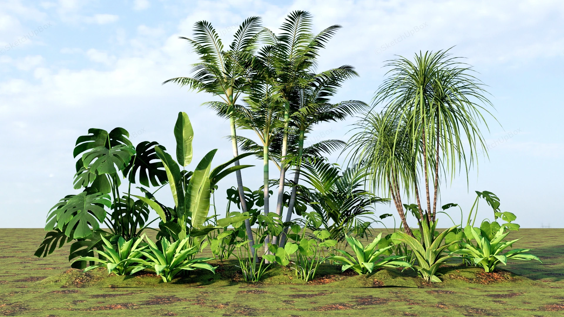 Tropical Garden Plants sketchup model preview - SketchupBox