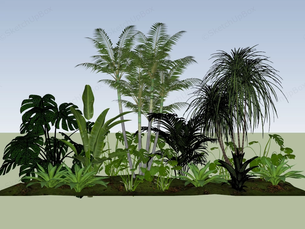 Tropical Garden Plants sketchup model preview - SketchupBox