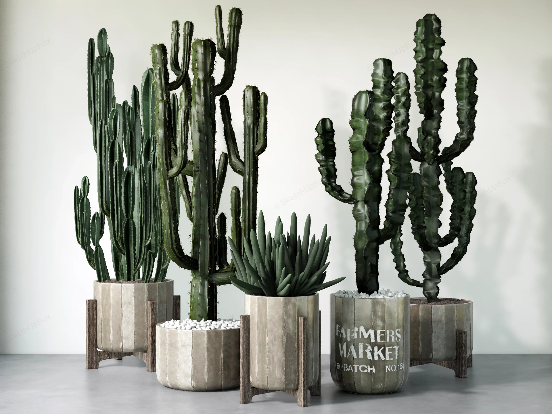 Indoor Desert Plants sketchup model preview - SketchupBox