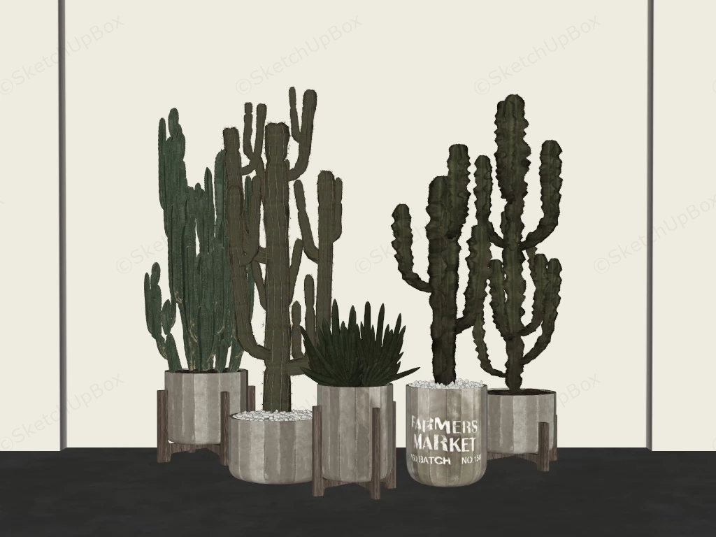 Indoor Desert Plants sketchup model preview - SketchupBox