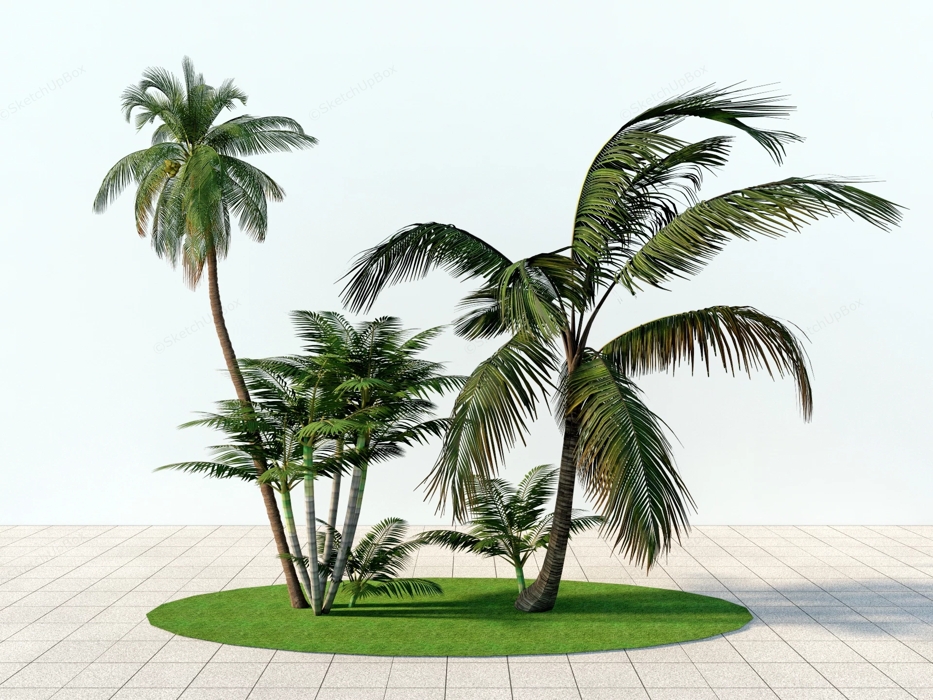 Landscaping Garden Palm Trees sketchup model preview - SketchupBox