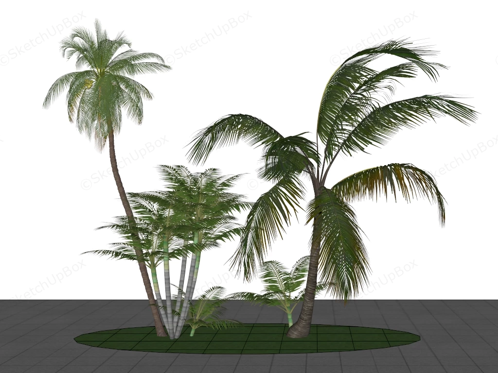 Landscaping Garden Palm Trees sketchup model preview - SketchupBox
