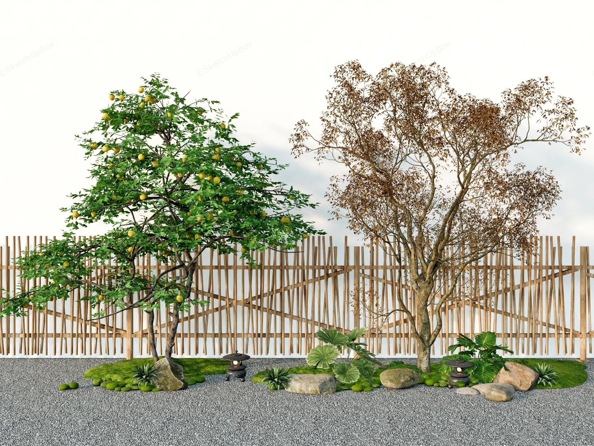 Fruit Trees Garden Design sketchup model preview - SketchupBox