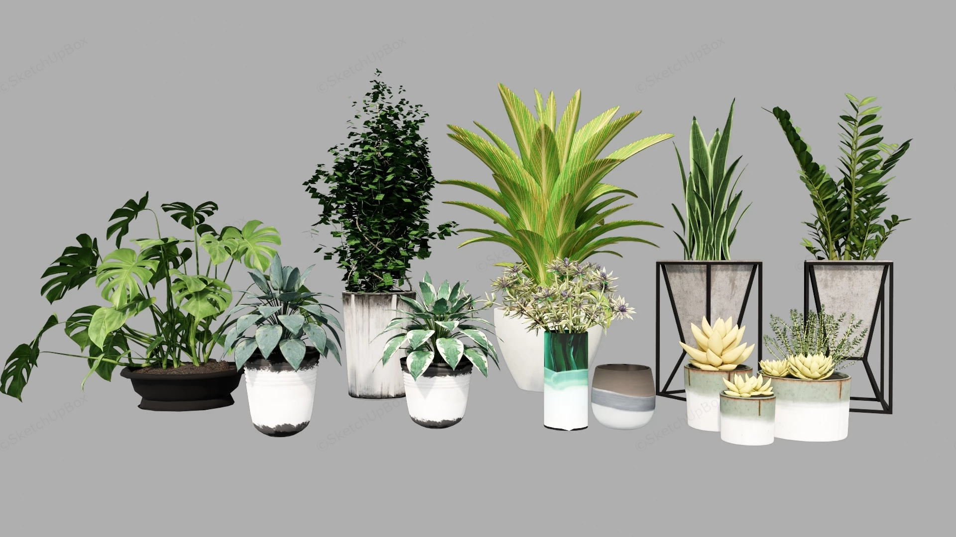 Collection Of Decorative Houseplants sketchup model preview - SketchupBox