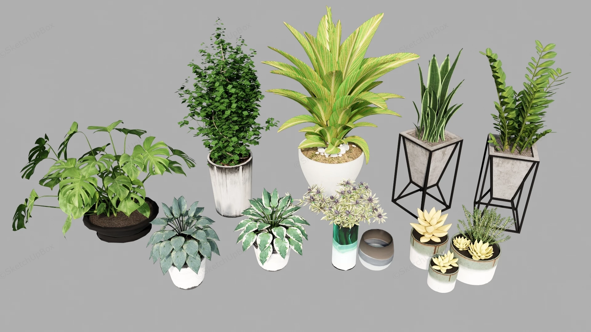 Collection Of Decorative Houseplants sketchup model preview - SketchupBox