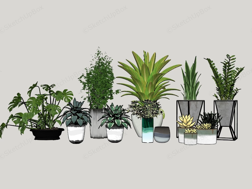 Collection Of Decorative Houseplants sketchup model preview - SketchupBox