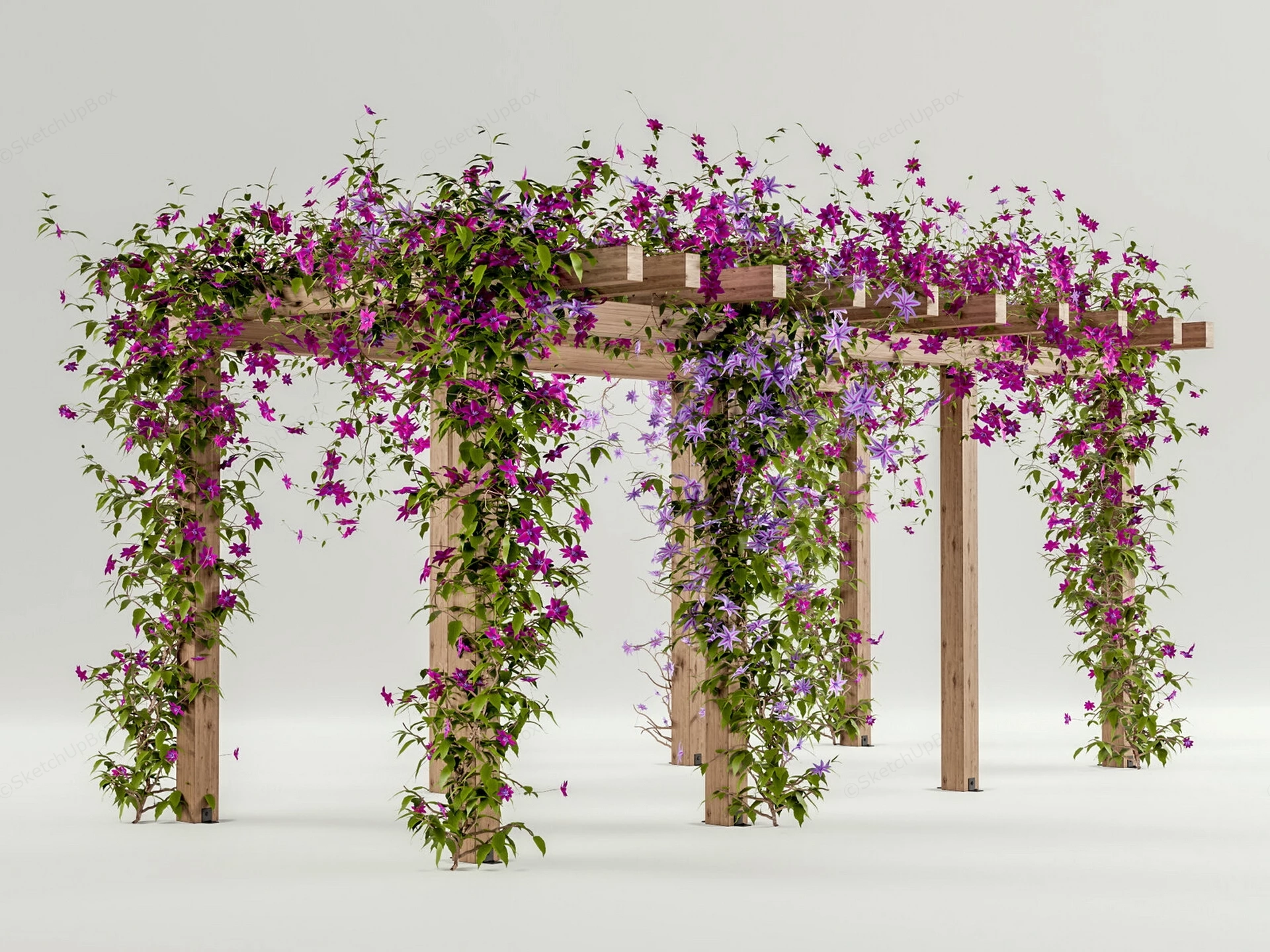 Romantic Garden Pergola With Blooming Vines sketchup model preview - SketchupBox