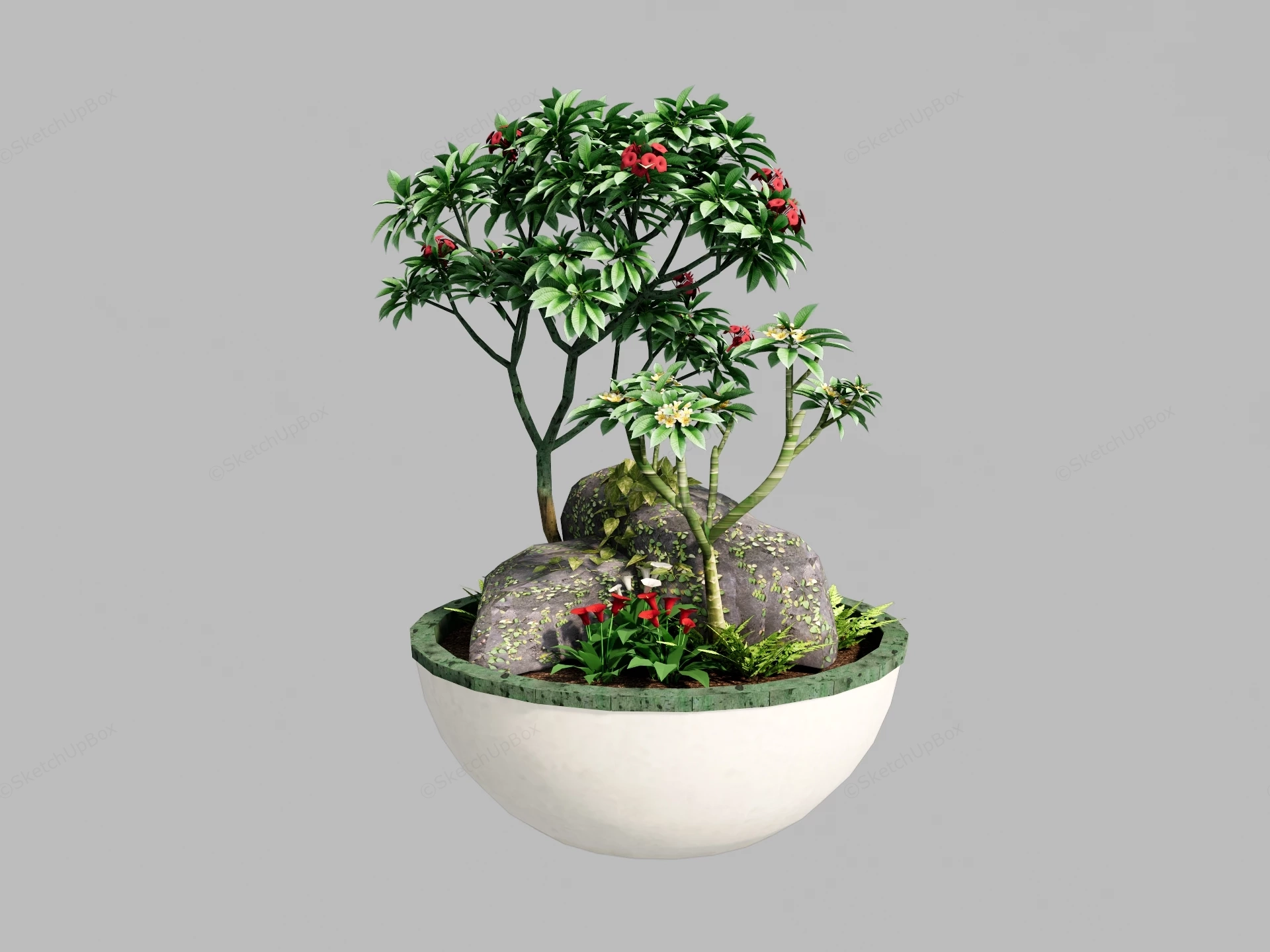 Small Bonsai Style Plant Arrangement sketchup model preview - SketchupBox