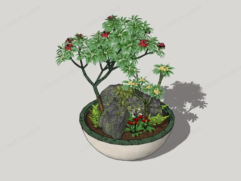 Small Bonsai Style Plant Arrangement sketchup model preview - SketchupBox
