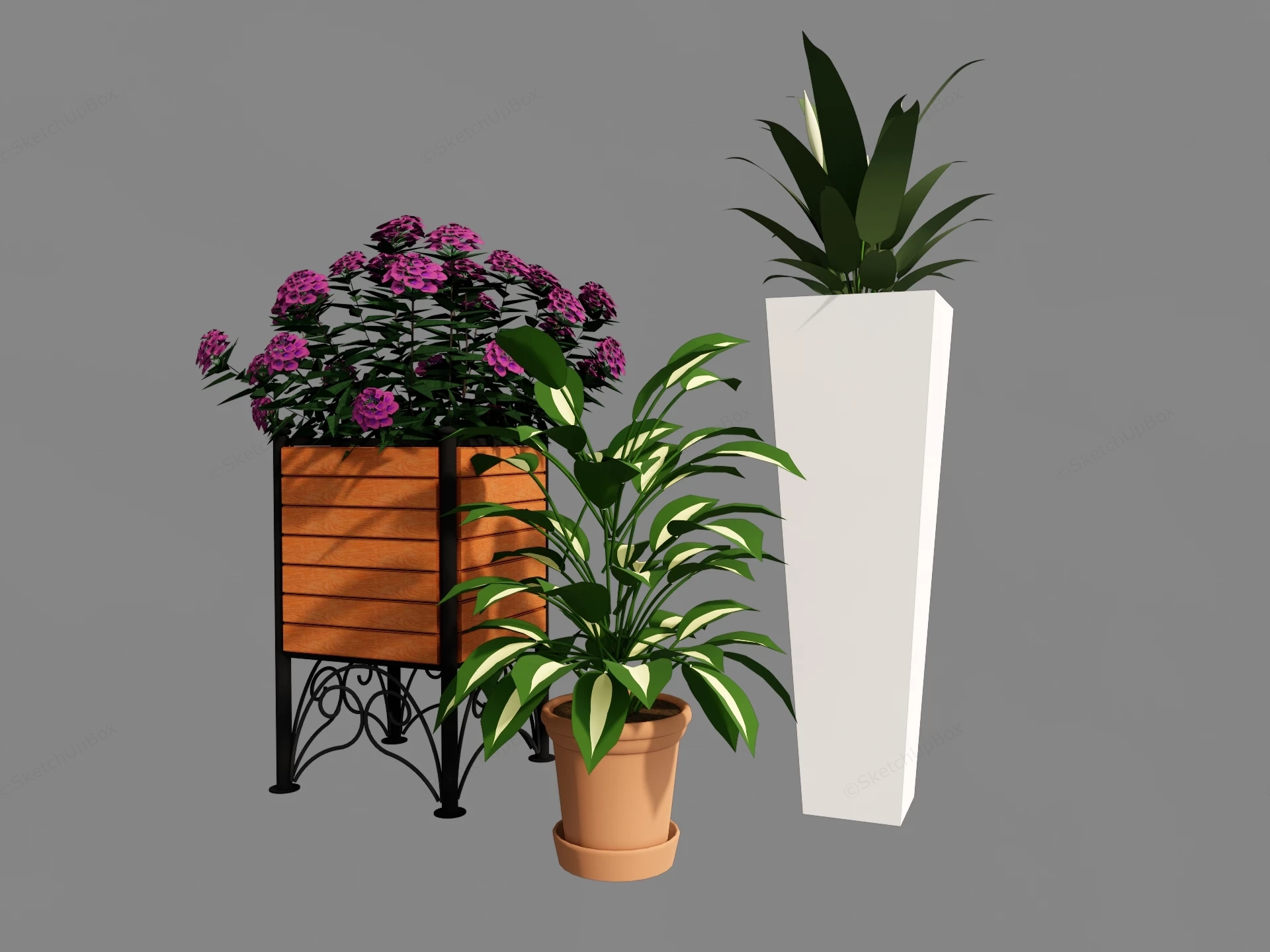 Three Potted Plants sketchup model preview - SketchupBox
