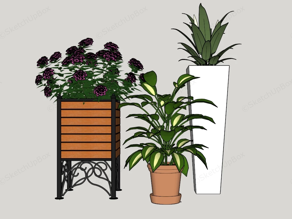 Three Potted Plants sketchup model preview - SketchupBox