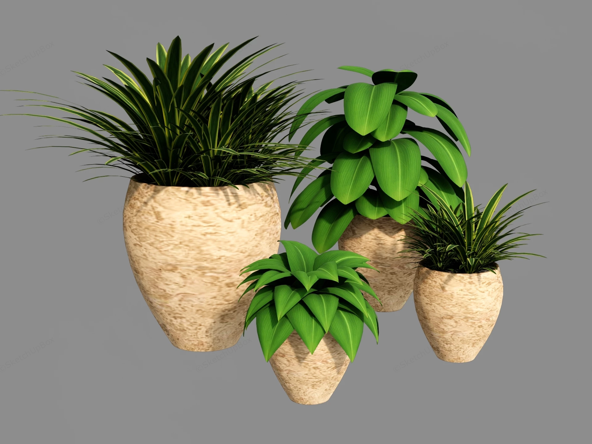 Set Of Four Potted Plants sketchup model preview - SketchupBox