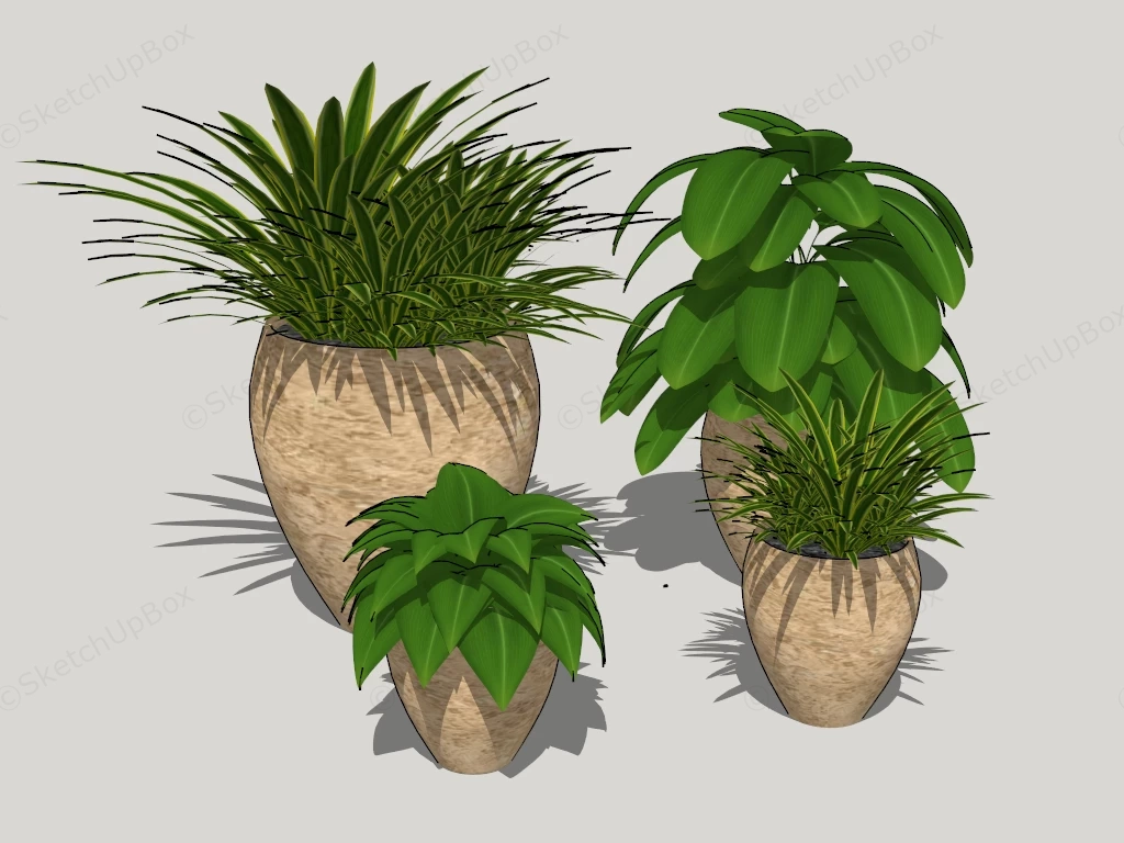 Set Of Four Potted Plants sketchup model preview - SketchupBox