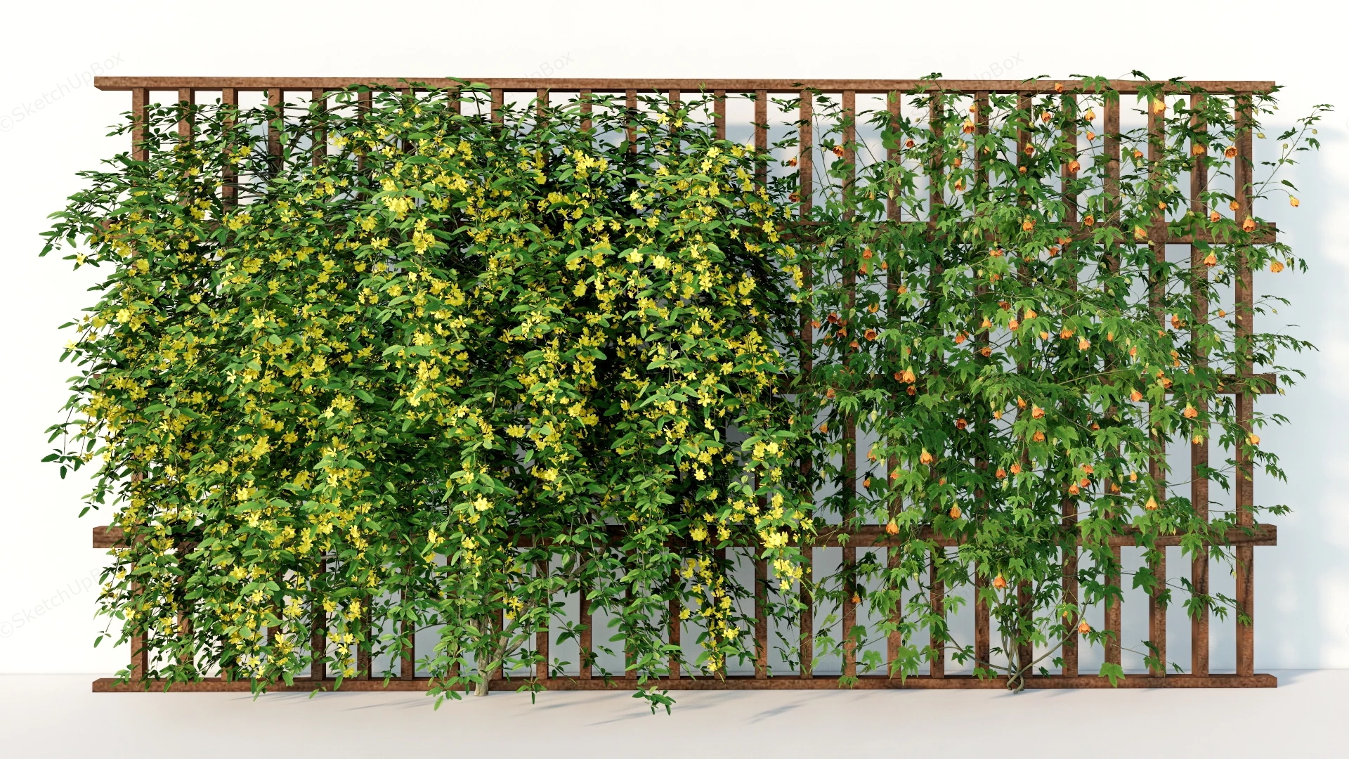 Climbing Flowering Vines Privacy Fence sketchup model preview - SketchupBox