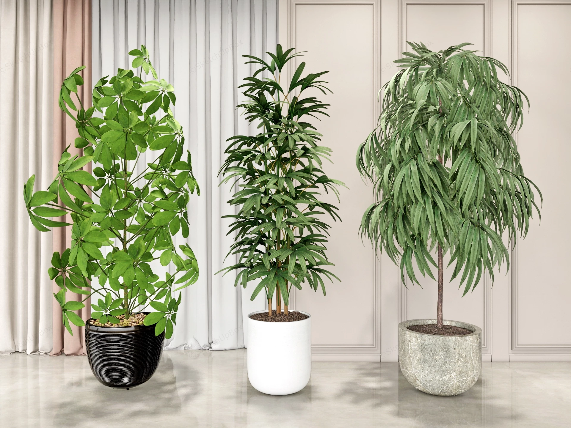 Large Indoor Potted Plants sketchup model preview - SketchupBox