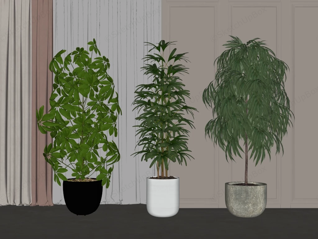 Large Indoor Potted Plants sketchup model preview - SketchupBox