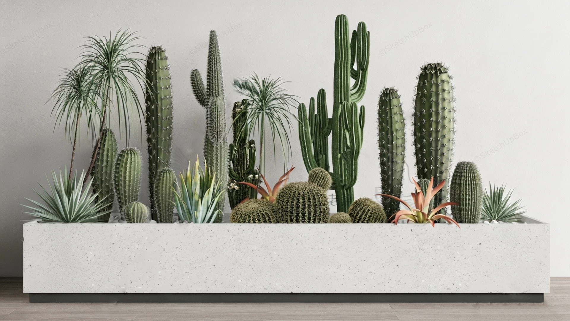 Modern Indoor Desert Garden Display sketchup model preview - SketchupBox