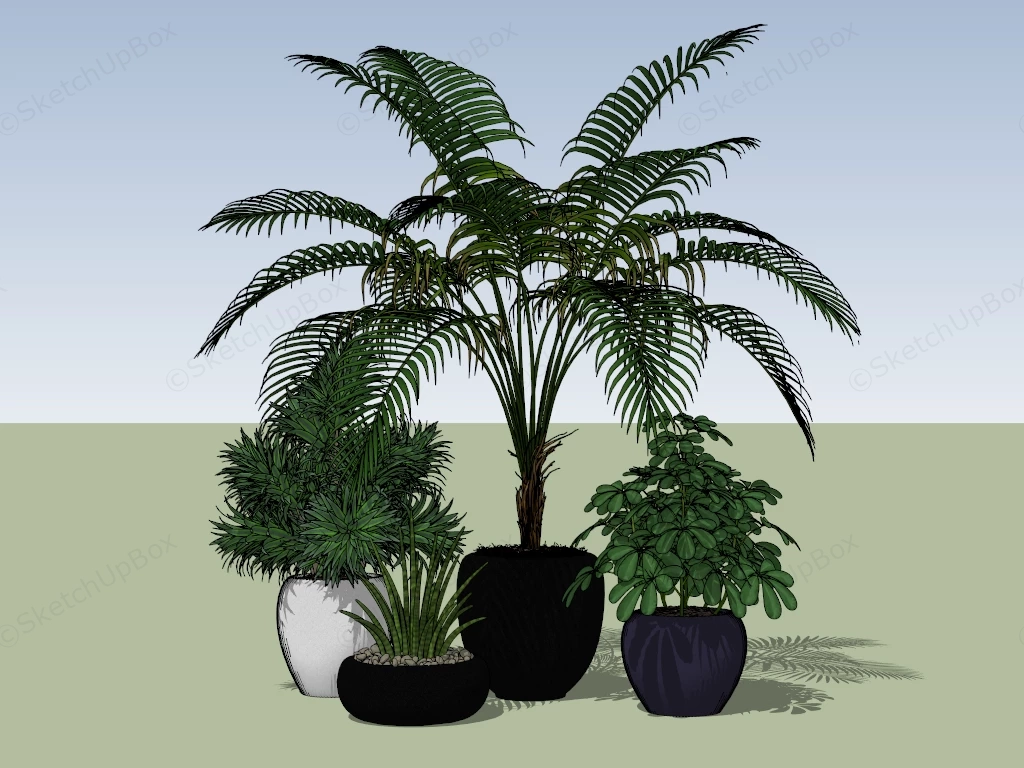 Four Lush Indoor Potted Plants sketchup model preview - SketchupBox
