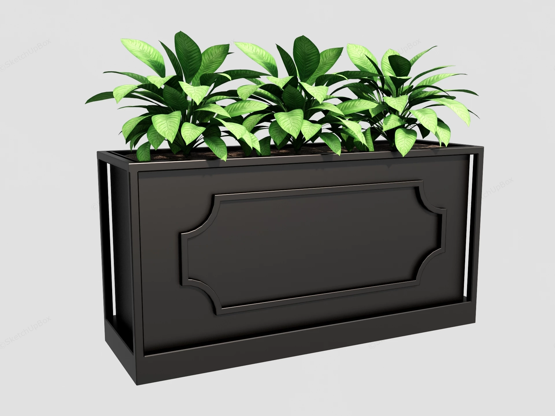 Rectangular Black Planter Box sketchup model preview - SketchupBox