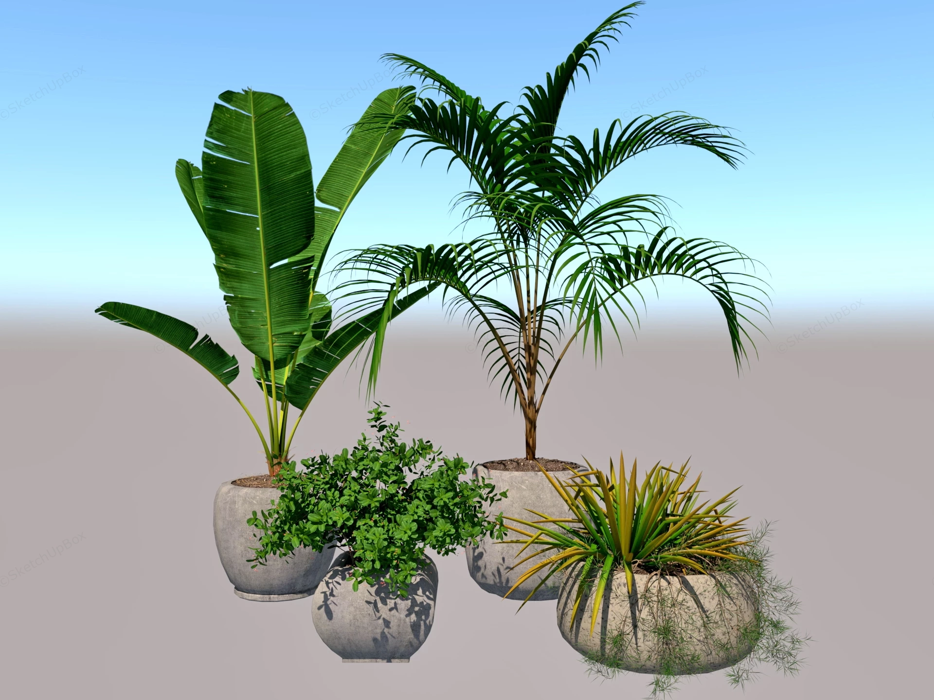 Potted Tropical Botanical Plants Set Sketchup 3D Model Preview - SketchupBox