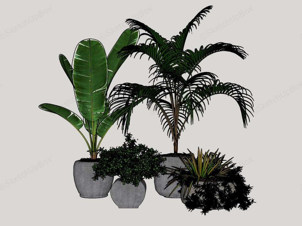 Potted Tropical Botanical Plants Set Sketchup 3D Model Preview - SketchupBox
