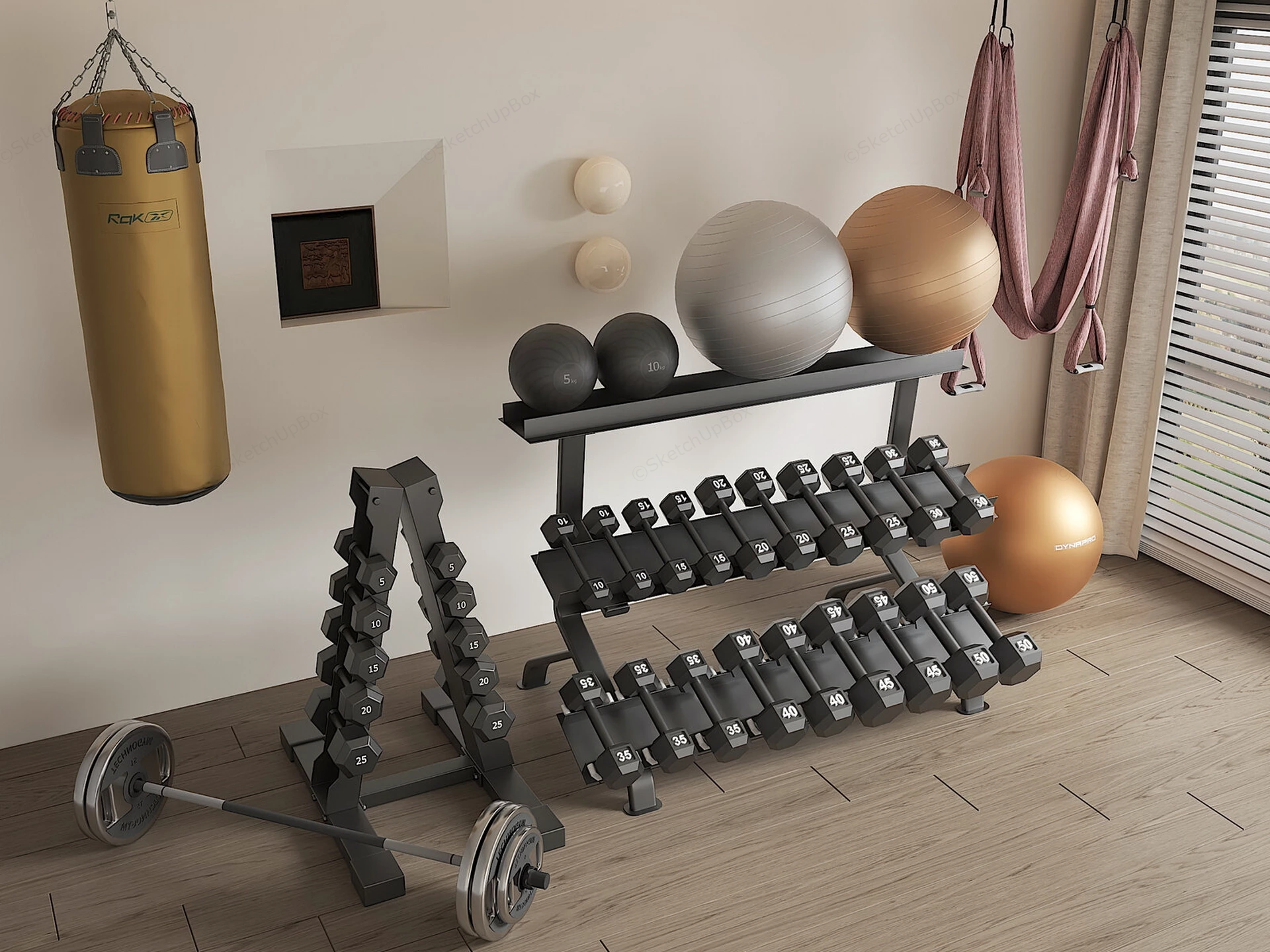 Home Gym Free Weight Fitness Set Sketchup 3D Model Preview - SketchupBox