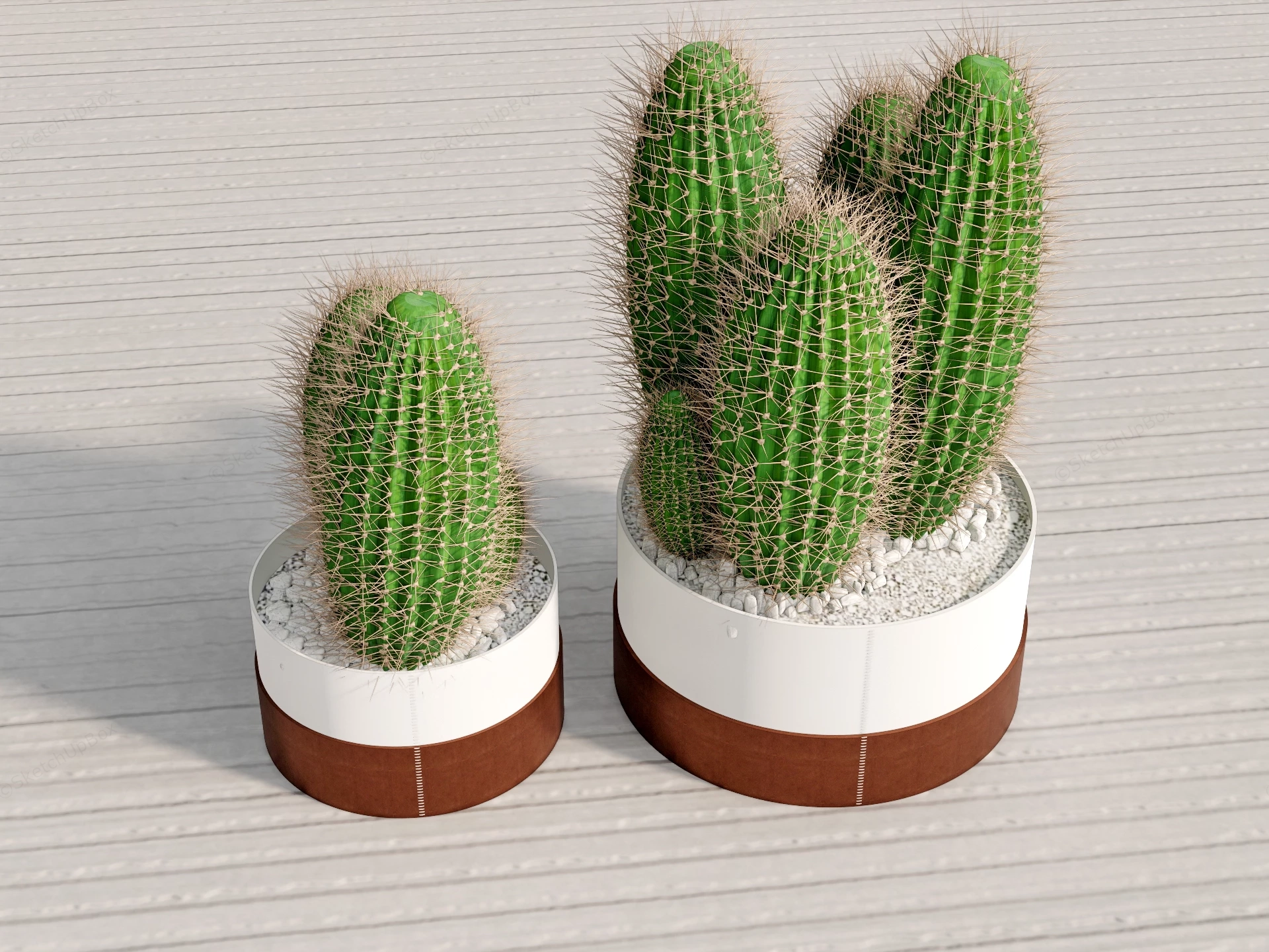 Modern Potted Cactus Plant Set Sketchup 3D Model Preview - SketchupBox