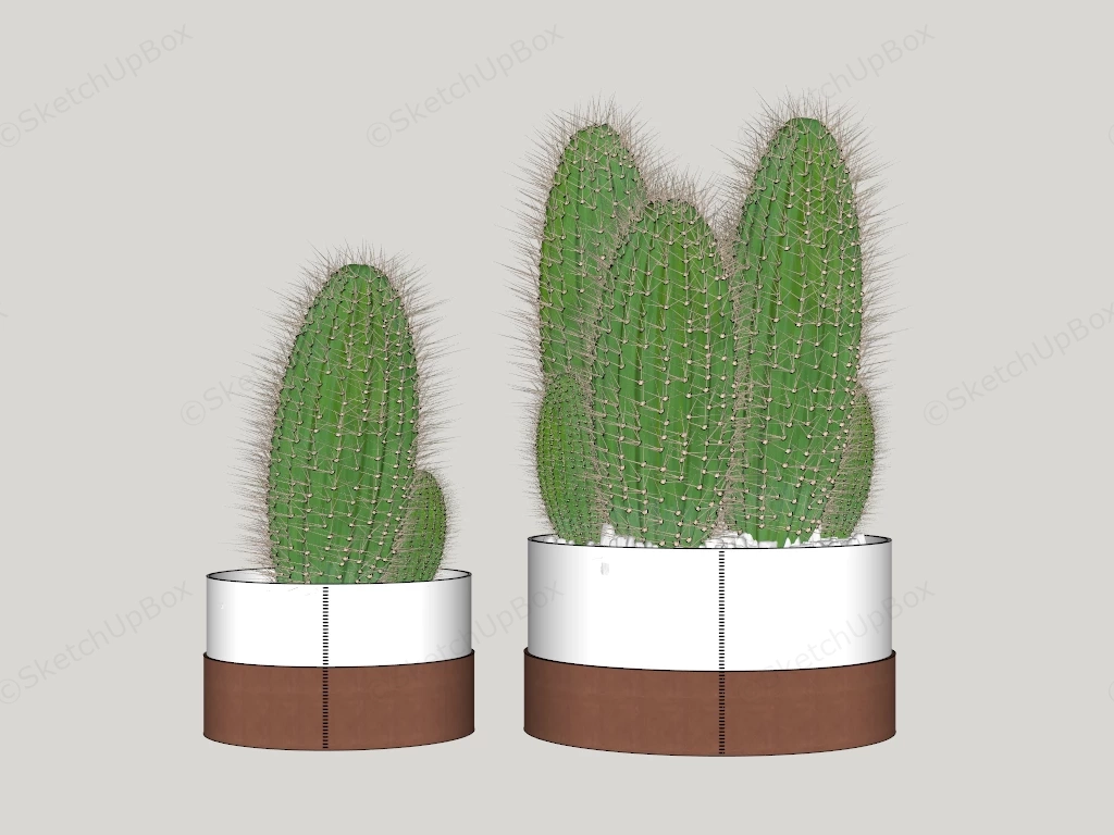 Modern Potted Cactus Plant Set Sketchup 3D Model Preview - SketchupBox