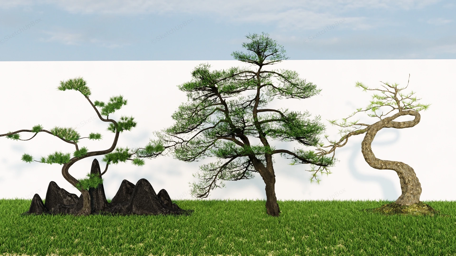 Modern Chinese Zen Ornamental Pine Trees And Rockery Collection Sketchup 3D Model Preview - SketchupBox