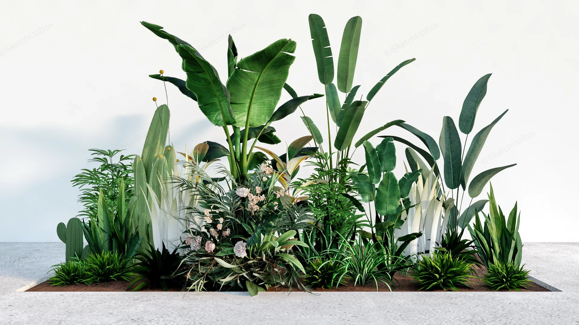 Tropical Botanical Garden Bed Plants Collection Sketchup 3D Model Preview - SketchupBox