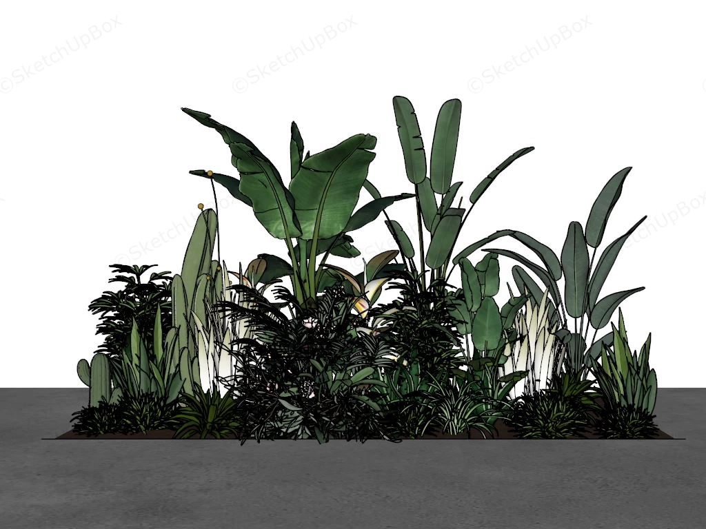 Tropical Botanical Garden Bed Plants Collection Sketchup 3D Model Preview - SketchupBox