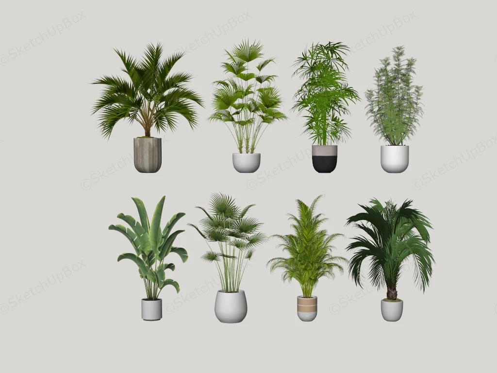 Modern Potted Tropical Plants Collection Sketchup 3D Model Preview - SketchupBox