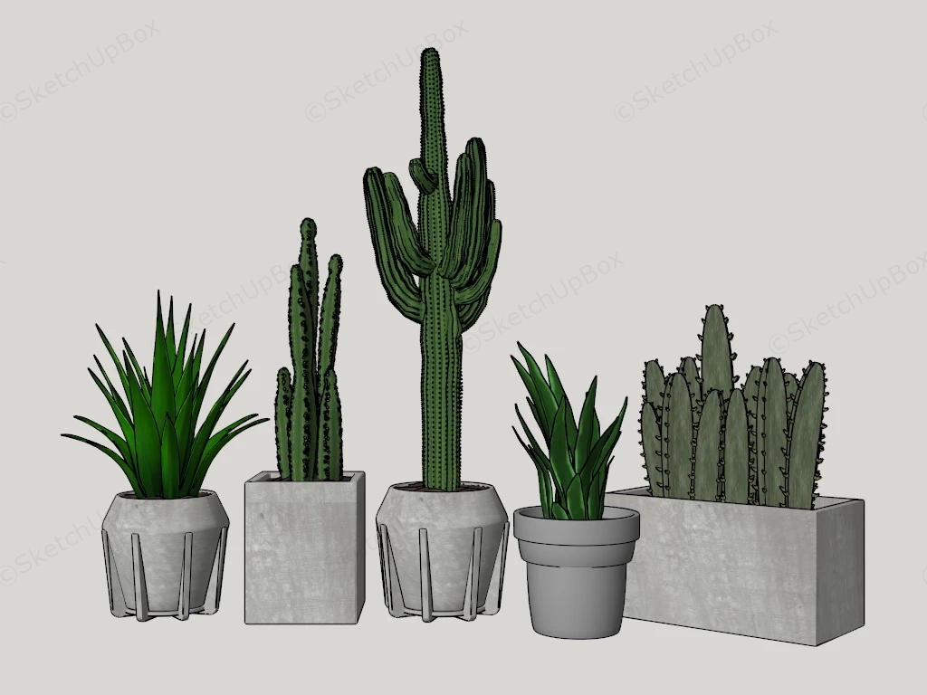 Modern Minimalist Potted Cacti & Succulent Collection Sketchup 3D Model Preview - SketchupBox