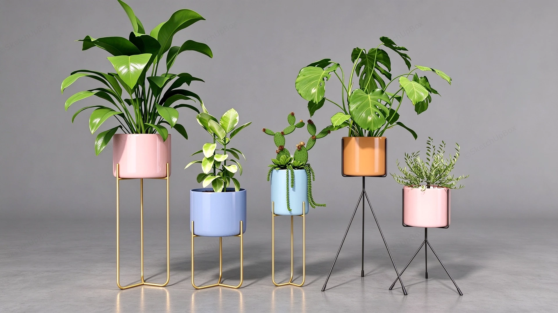 Modern Potted Plant Collection On Metal Stands Sketchup 3D Model Preview - SketchupBox