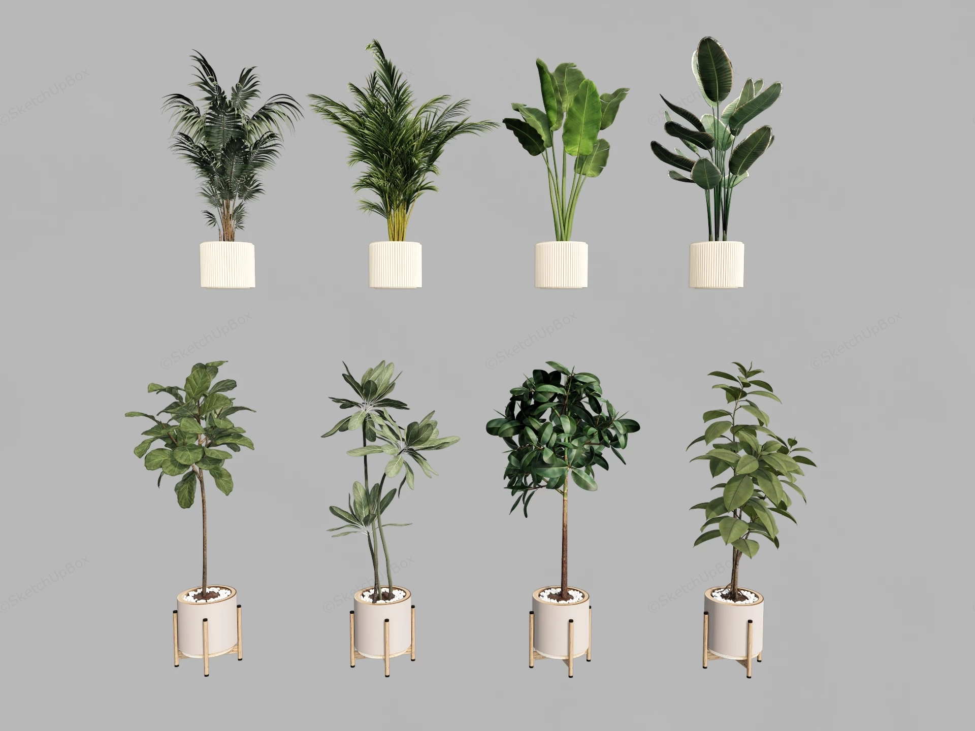 Potted Tropical Indoor Plant Collection Sketchup 3D Model Preview - SketchupBox