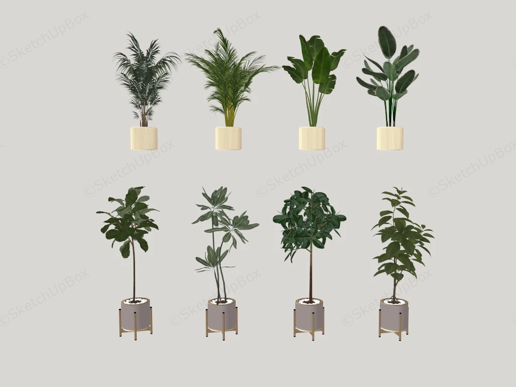 Potted Tropical Indoor Plant Collection Sketchup 3D Model Preview - SketchupBox