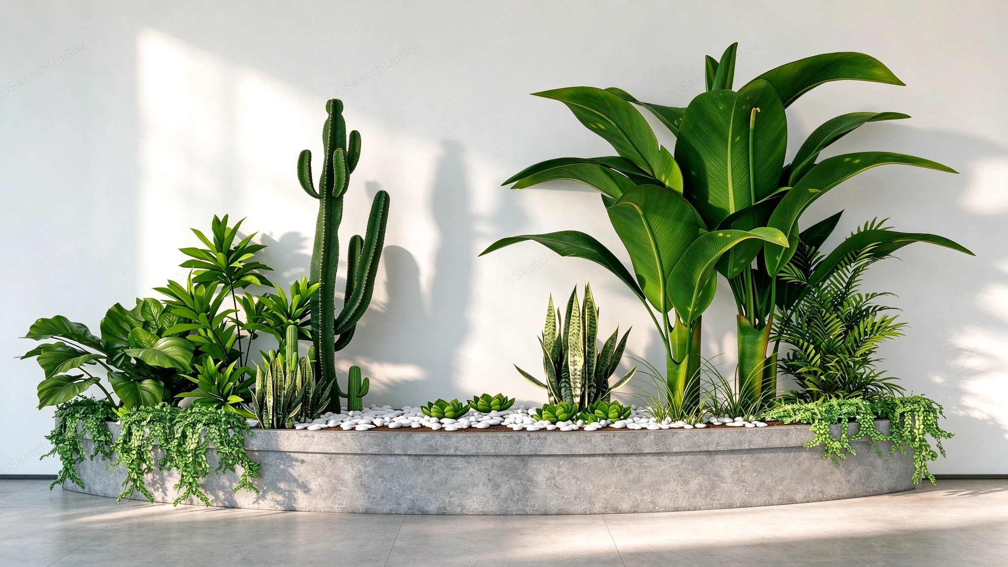 Modern Indoor Concrete Planter With Tropical Plants Sketchup 3D Model Preview - SketchupBox