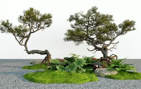 Zen Garden Trees