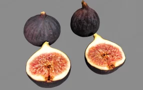 Fresh Fig Fruit
