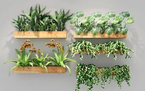 Wall Mounted Planter Box
