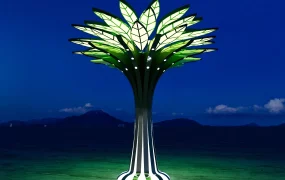 Landscape Shade Structure Lighting