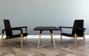 Modern Minimalist Accent Chair Set